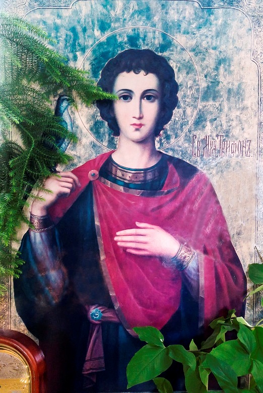 Saint Typhon is a martyr of Montenegro